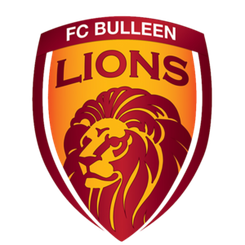 布琳狮子